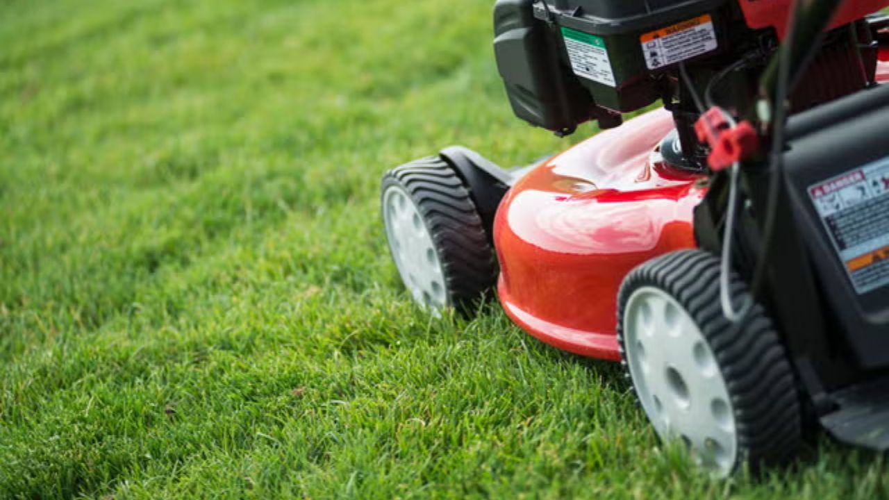 Selecting the Best Mower Teeth for Your Equipment: Complete Guide